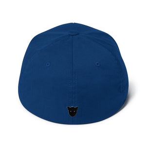 Gamer Flexfit Cap