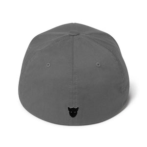 Gamer Flexfit Cap