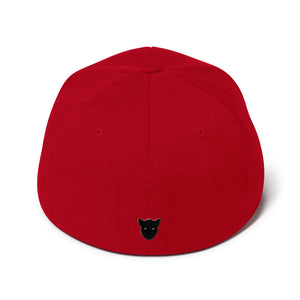 Gamer Flexfit Cap